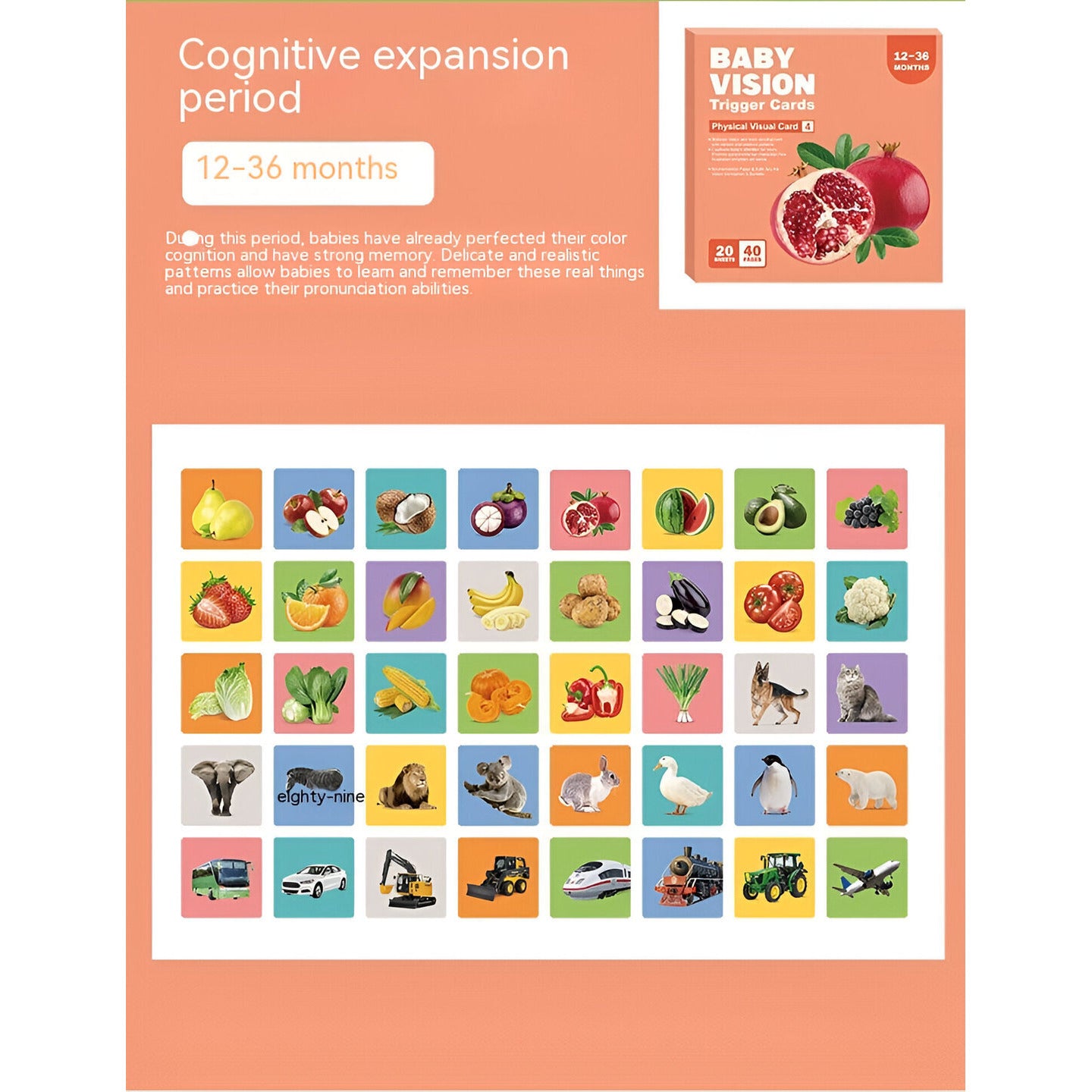 Montessori Visual Stimulation Cards - Lil Bug