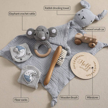 Newborn Gift Set - Lil Bug