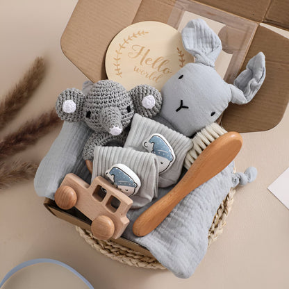 Newborn Gift Set - Lil Bug