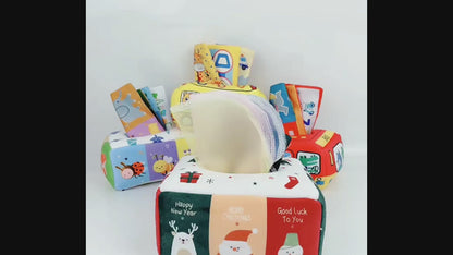 Montessori Tissue Box